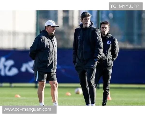 乌多吉谈维卡里奥执教前景强调成功依赖球队自身努力与球迷支持